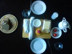 2011_01_17_08_55_23_012_800x600